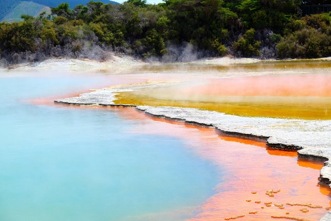 Tauranga – Wia O Tapu Wonderland & Rotorua Geysers: Private Tour