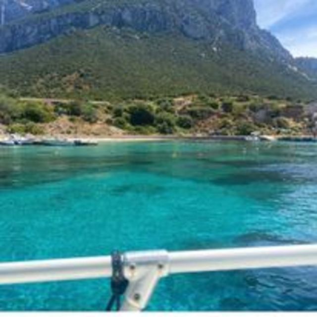 Tavolara, Snorkeling in the Marine Park