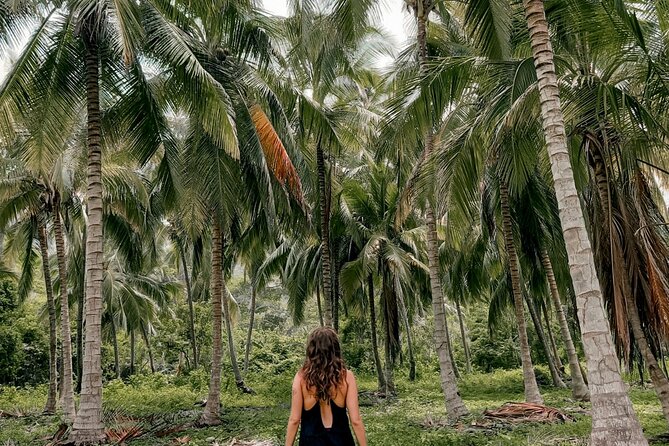 Tayrona Park Private Hike Tour to Cabo San Juan