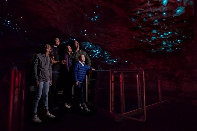 Te Anau Glow Worm Caves Tour