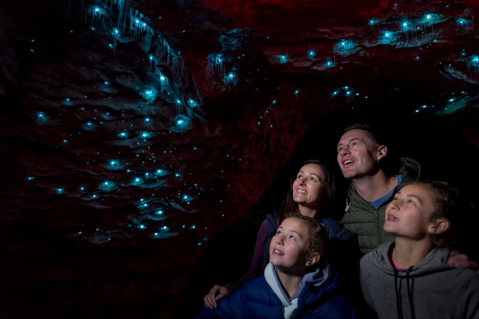 Te Anau: Glowworm Caves Guided Tour