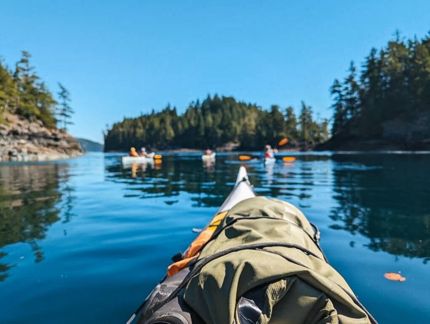 Telegraph Cove: Half-Day Kayaking Tour