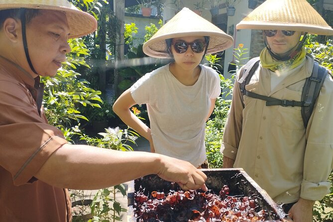 Temples and Bike Tours in the Village