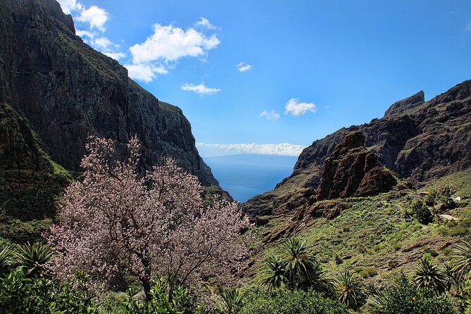 Tenerife Grand Tour: Including Teide National Park and Masca - Teide National Park