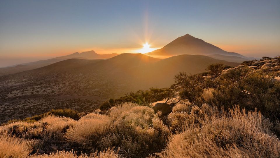 Tenerife: Teide National Park and Dolphins Sailboat Tour - Tour Overview and Pricing