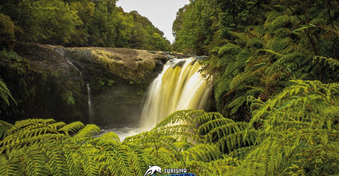 Tepuhueico Park: Introduce Yourself to Chiloé.