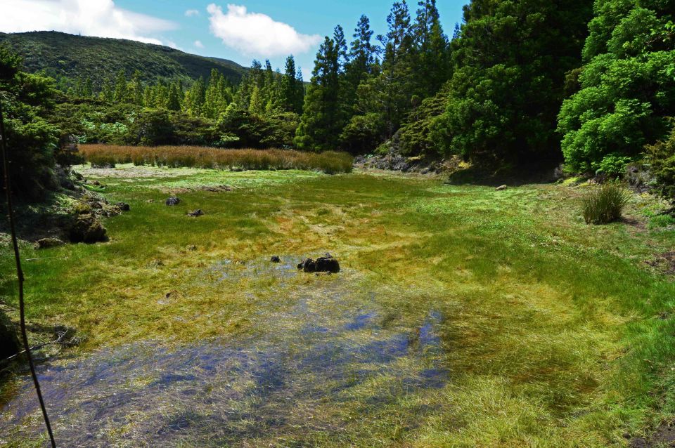 Terceira Island: Mistérios Negros Hike