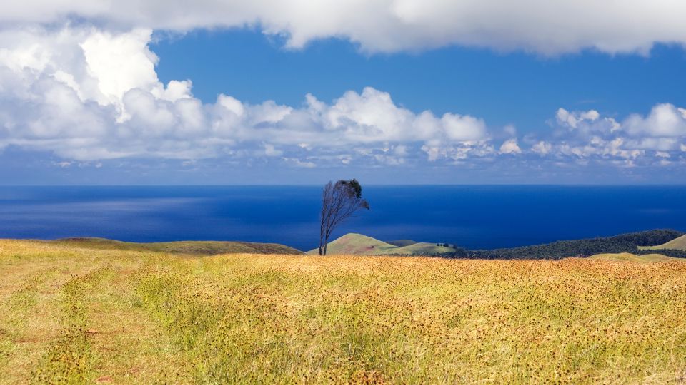 Terevaka Horse Excursion: the Highest Point and 360° View.