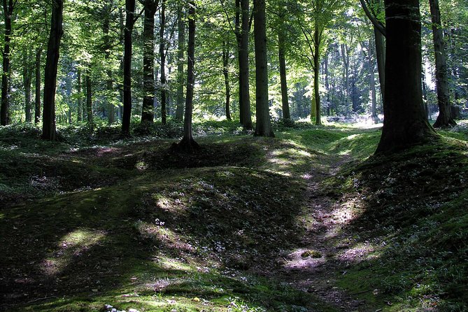 The Battle of the Somme Guided Day Tour From Arras