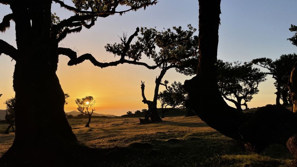 The Best of Madeira in One Day