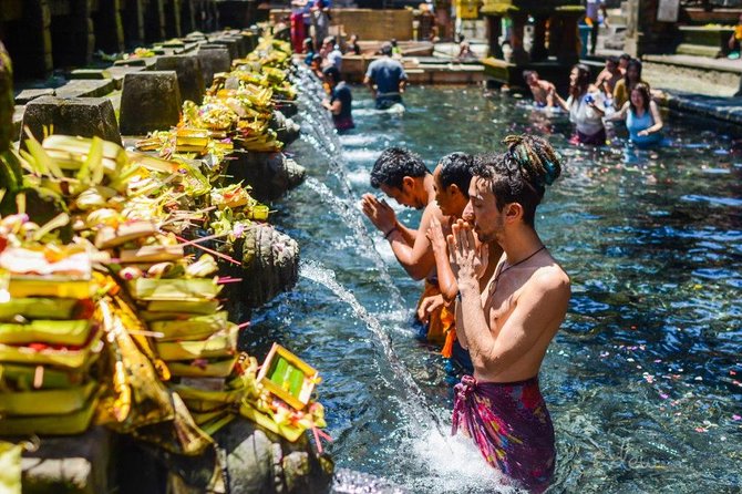 The Best of Ubud Tour and Jungle Swing - Overview of the Ubud Tour