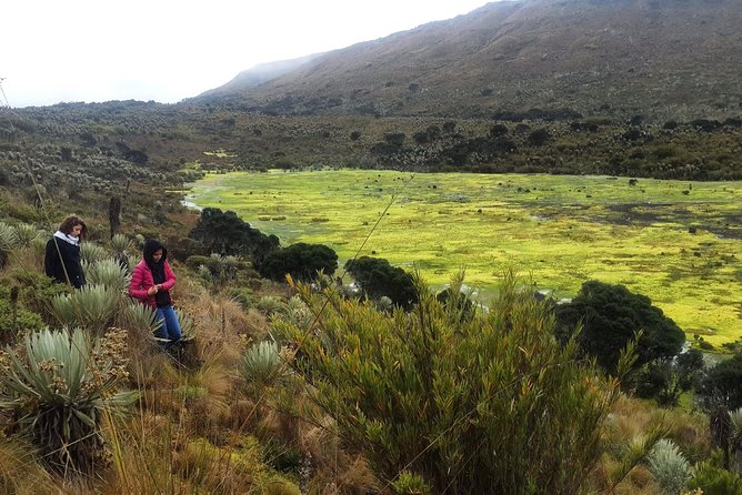 The Biggest Paramo on Earth: Sumapaz