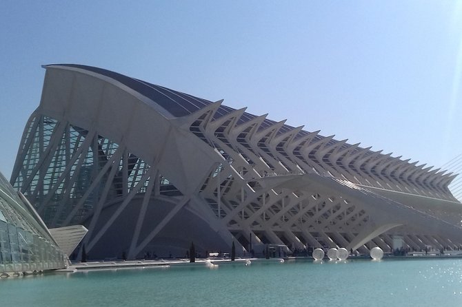 The City of Arts and Sciences in Valencia