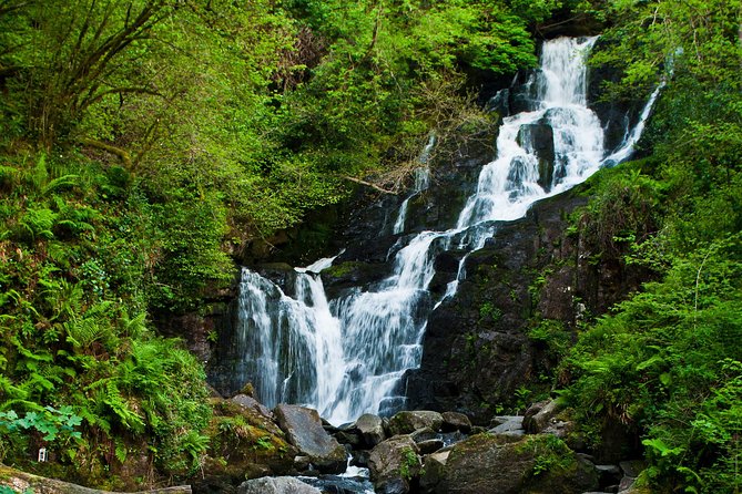 The Classic Ring of Kerry & Skellig Ring Tour - COVID-19 Prevention Measures