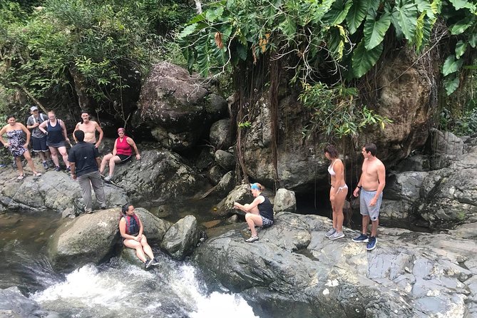 The El Yunque off the Beaten Path Hiking Tour With Transport