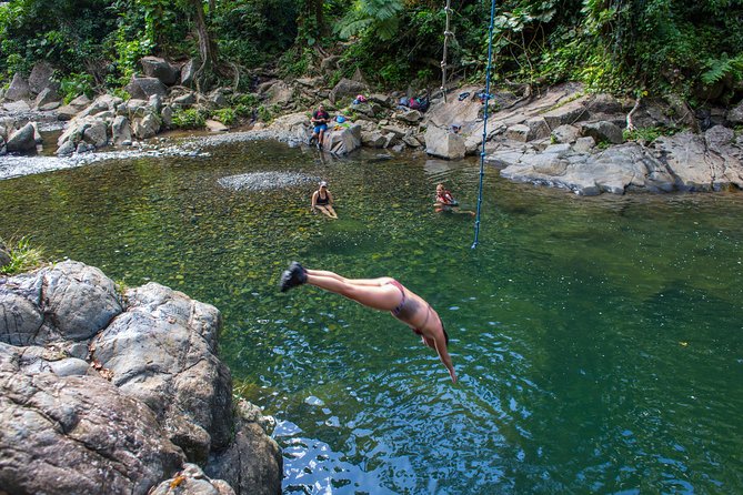 The El Yunque Rainforest and Bio Bay Kayaking Combo Tour