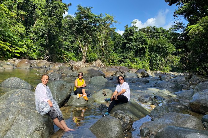 The El Yunque Rainforest Guided Day Tour From San Juan - Exploring La Coca Waterfall