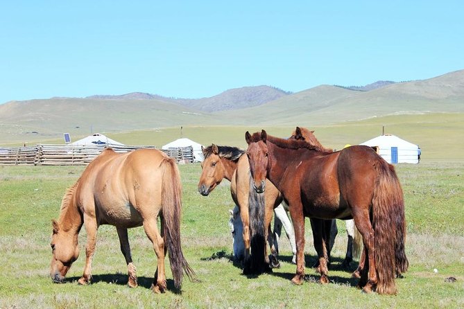 The Great Loop, Khövsgöl, Arkhangay, and Gobi 17 Days