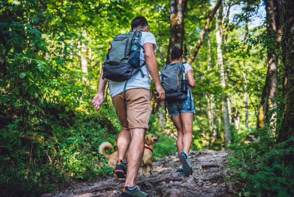 The Haitises: Cacao & Coffee Rainforest Hike/Boat Tour