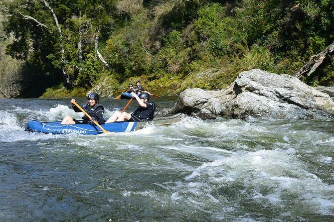 The Hobbit Barrel Run Rafting Tour on the Pelorus River