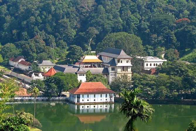 The Last Kingdom Private Day Tour in Kandy - Overview of the Tour