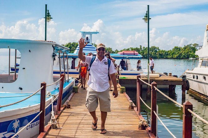 The Limon Waterfall and Bacardi Island Tour From Punta Cana With Lunch Included