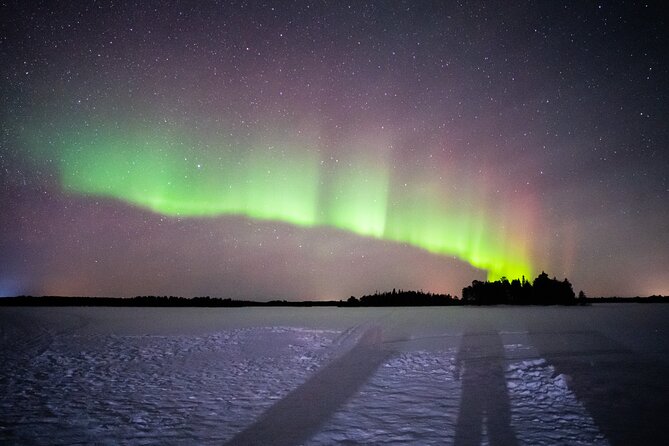 The NIGHT BARBECUE a Call for Auroras