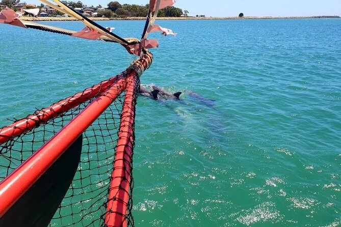 The Pirate Cruise in Mandurah on Viator