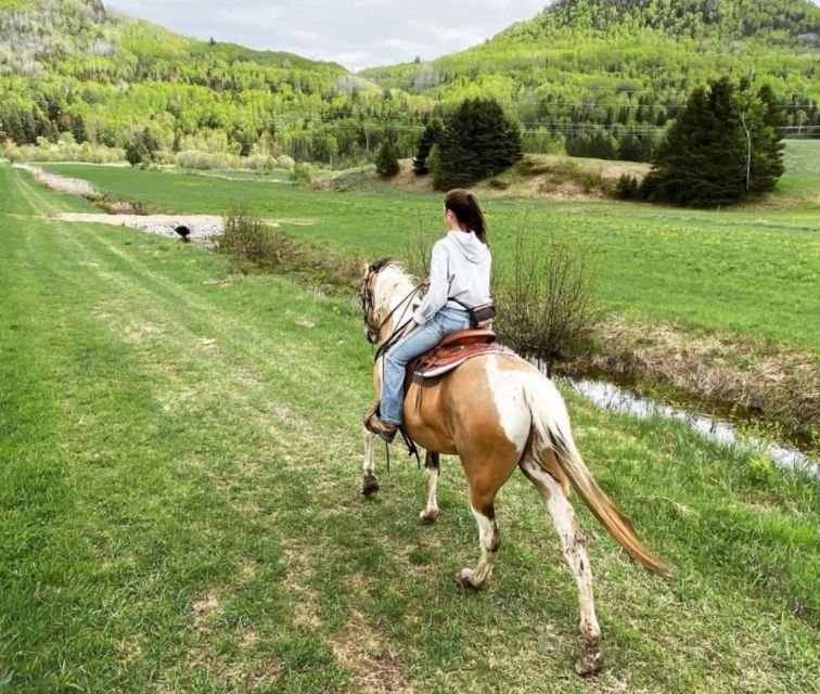 The Valley: a Charming Introduction to Horseback Riding