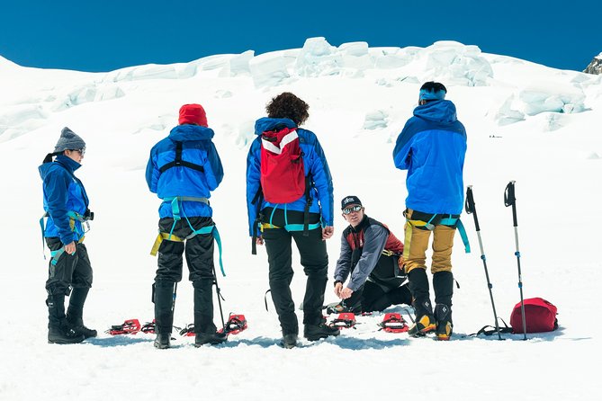 The Wigley: Top of the Tasman Glacier Hike