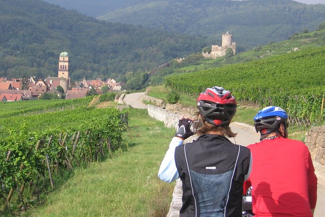 Through Alsace Vineyards and Wine Villages Private Bike Tour