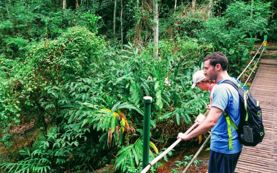 Tijuca Forest: Adventure & History Half-Day Hike