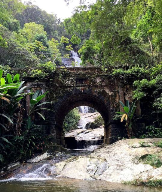 Tijuca Forests Hike: Caves, Waterfalls and Great Views