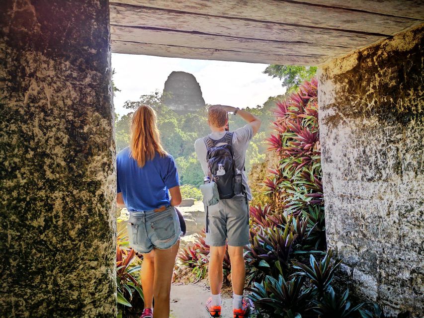 Tikal Sunrise, Archeological Focus and Wildlife Spotting