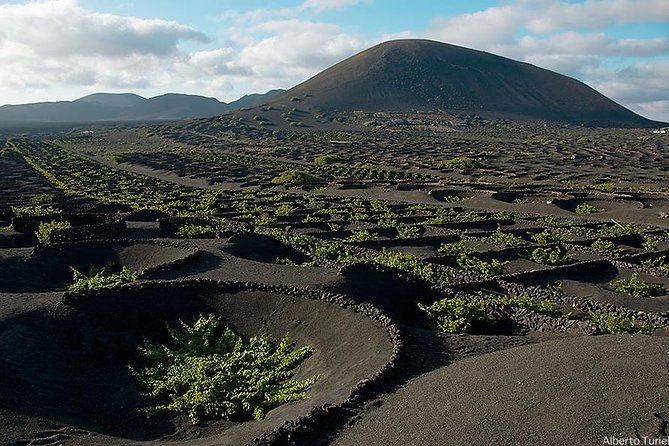 Timanfaya, Golfo, La Geria & Camel Ride (opt) – South Lanzarote