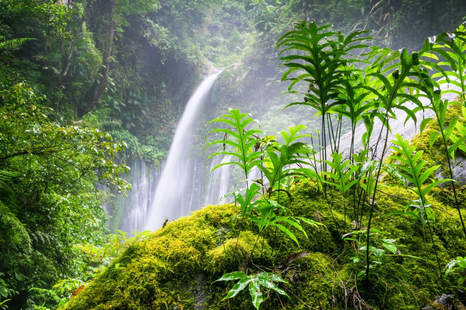 Tiu Kelep and Sendang Gile Waterfall Trekking Tour