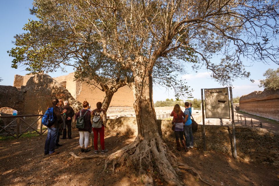 Tivoli: Entrance Ticket to Villa Adriana With Pemcard