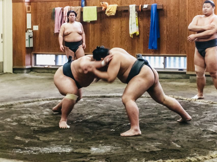 Tokyo: Sumo Morning Training Visit