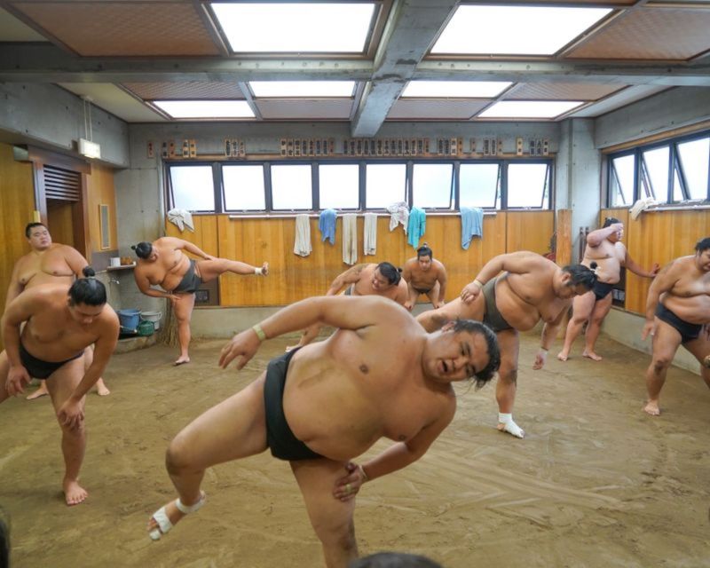 Tokyo: Sumo Wrestlers Morning Practice Ticket and Tour