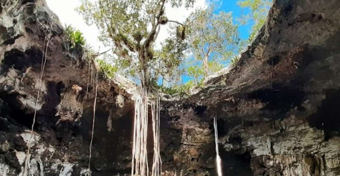 Tour 4 Cenotes Merida