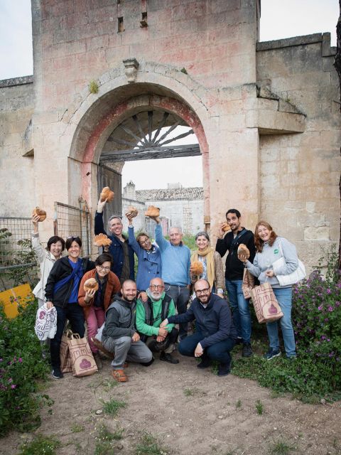 Tour Among the Temples of Oil and the Patriarch Olive Trees