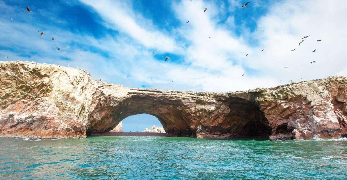 Tour: Ballestas Islands and the Paracas National Reserve