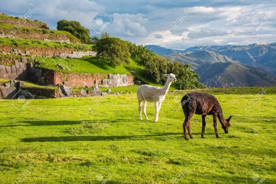 Tour Cusco 7DAYS 6nights | Machu Picchu | Qeswachaka Bridge - Tour Details