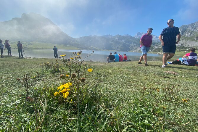 Tour From Oviedo and Gijón to Covadonga Lakes & Sailors Villages