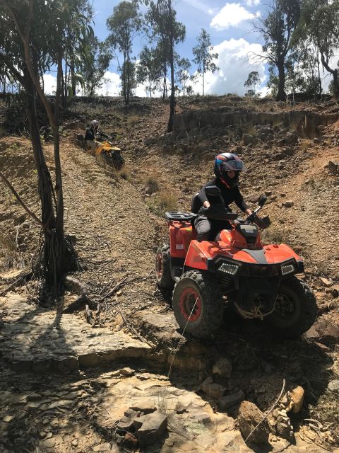 Tour in Fourth Adventure Quad of Trocha and Petroglyphs