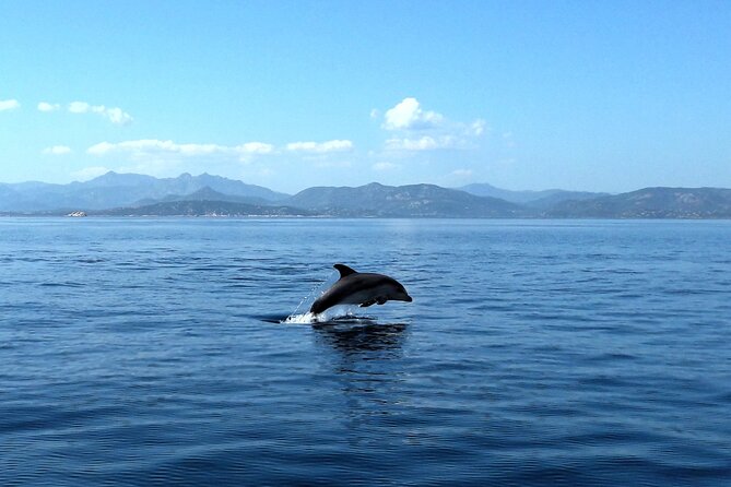 Tour in Rubber Dinghy and Snorkeling in the Protected Marine Area of Tavolara