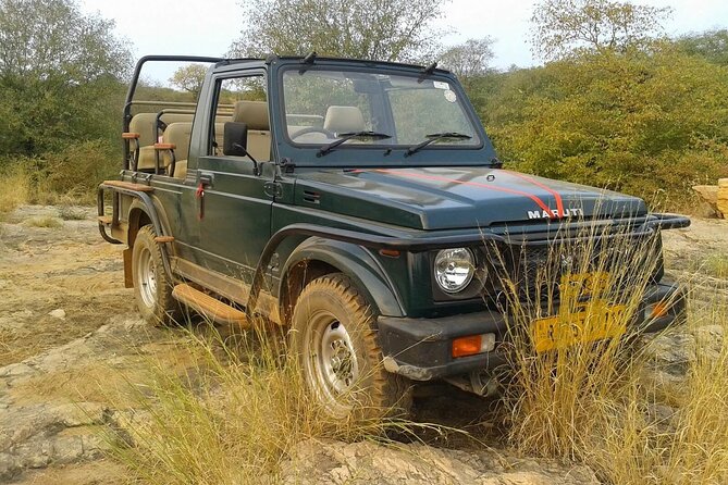 Tour of Ranthambore Fort and Ganesh Temple in a Jeep