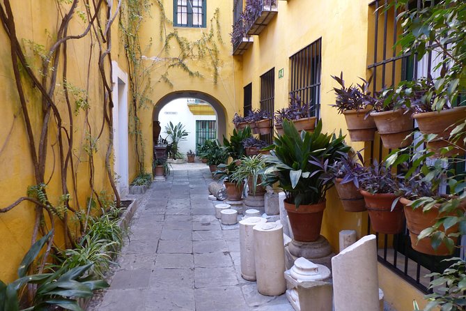 Tour of the Barrio De Santa Cruz and the Jewish Quarter - Included Amenities