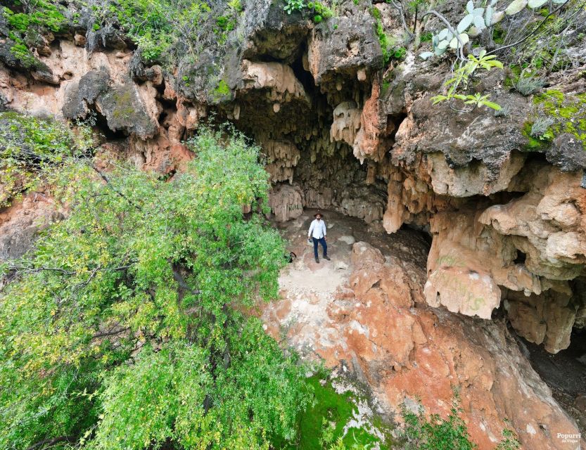 Tour of the Ruins and Tasting in Mazatan