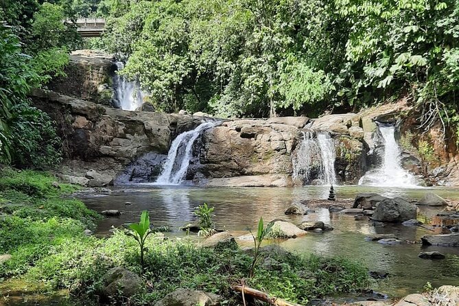 Tour Shaman Medicinal Plants and Waterfalls - Inclusions and Amenities